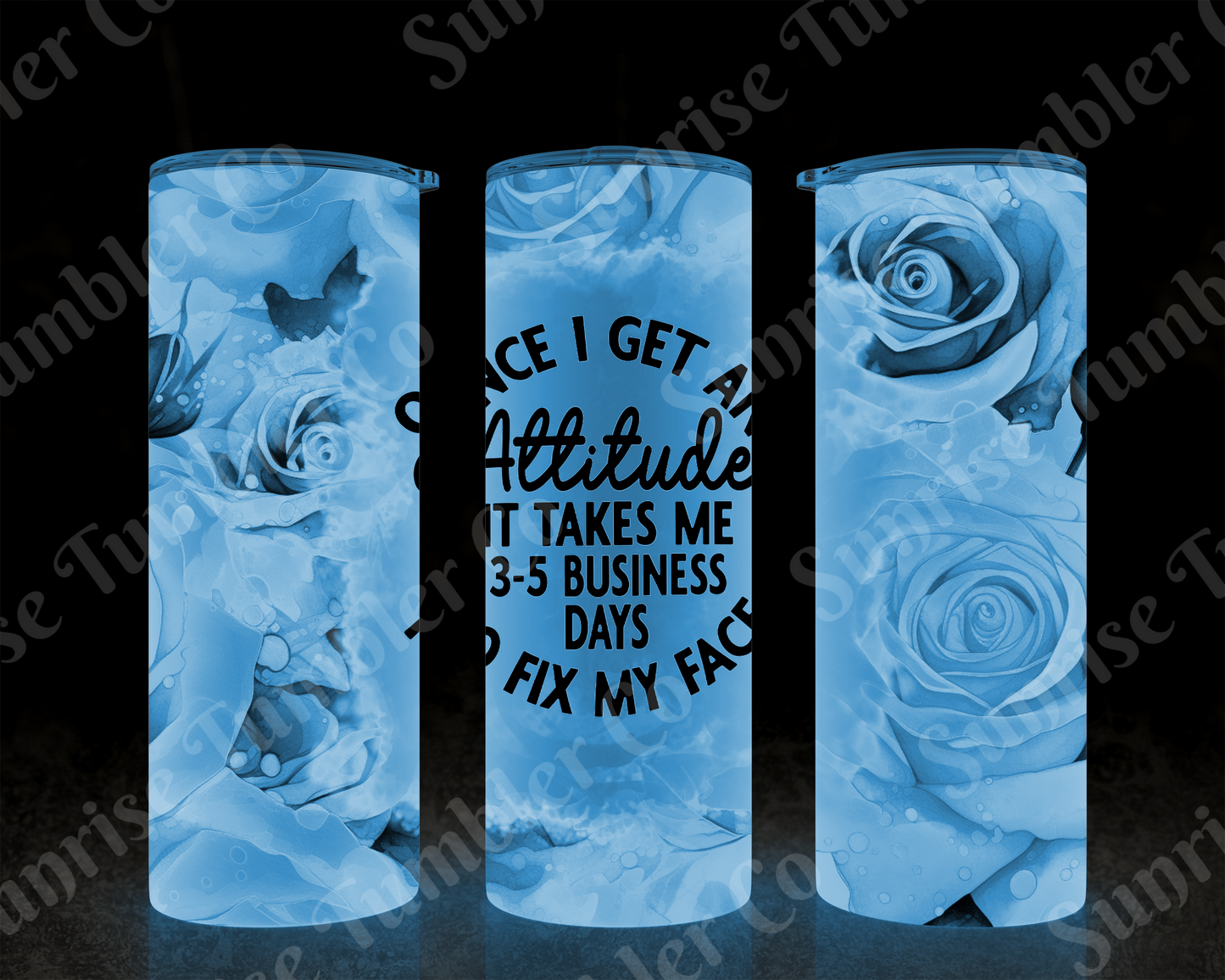 Sarcastic Sayings Variety Part 4 - 20oz or 30 oz Tumblers (Glow in The Dark Option Available)