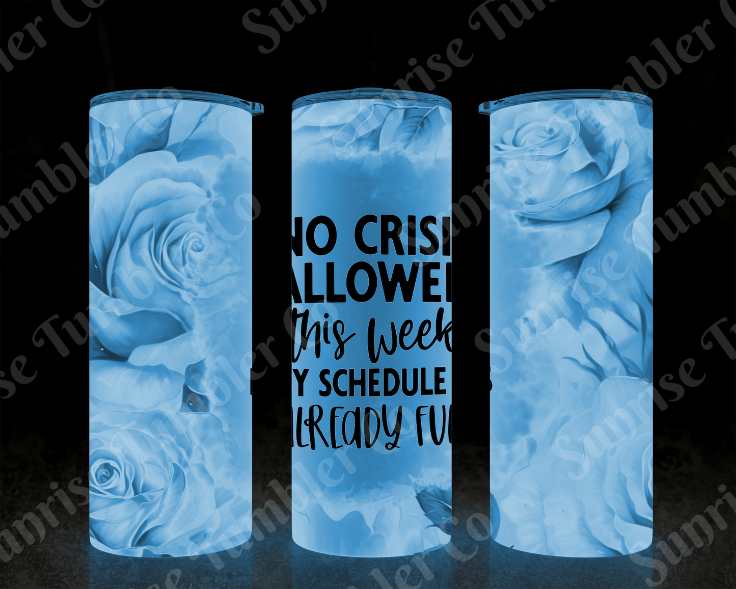 Sarcastic Sayings Variety Part 4 - 20oz or 30 oz Tumblers (Glow in The Dark Option Available)